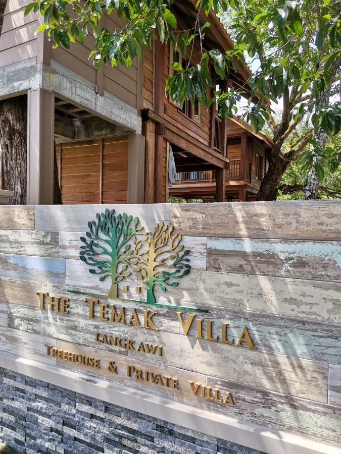 The Temak 2*